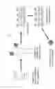 Fig. 02 - Meta-specific vaccine, method for treating patients immunized with meta-specific vaccine