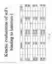 Fig. 05 - Meta-specific vaccine, method for treating patients immunized with meta-specific vaccine