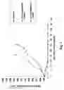 Fig. 03 - Monomethylvaline compounds capable of conjugation to ligands