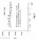 Fig. 11 - Monomethylvaline compounds capable of conjugation to ligands