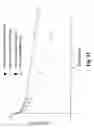 Fig. 13 - Monomethylvaline compounds capable of conjugation to ligands