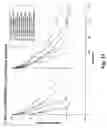 Fig. 14 - Monomethylvaline compounds capable of conjugation to ligands