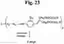 Fig. 25 - Monomethylvaline compounds capable of conjugation to ligands