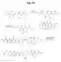 Fig. 28 - Monomethylvaline compounds capable of conjugation to ligands