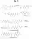Fig. 29 - Monomethylvaline compounds capable of conjugation to ligands