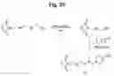 Fig. 31 - Monomethylvaline compounds capable of conjugation to ligands