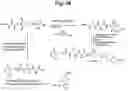 Fig. 32 - Monomethylvaline compounds capable of conjugation to ligands