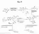 Fig. 33 - Monomethylvaline compounds capable of conjugation to ligands