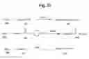 Fig. 35 - Monomethylvaline compounds capable of conjugation to ligands