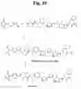 Fig. 41 - Monomethylvaline compounds capable of conjugation to ligands