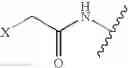 Fig. 48 - Monomethylvaline compounds capable of conjugation to ligands
