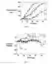 Fig. 08 - Multi-drug ligand conjugates