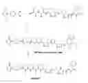 Fig. 01 - Monomethylvaline compounds capable of conjugation to ligands