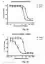 Fig. 07 - Monomethylvaline compounds capable of conjugation to ligands