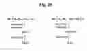 Fig. 22 - Monomethylvaline compounds capable of conjugation to ligands