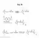 Fig. 30 - Monomethylvaline compounds capable of conjugation to ligands