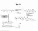 Fig. 32 - Monomethylvaline compounds capable of conjugation to ligands