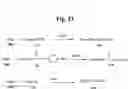 Fig. 35 - Monomethylvaline compounds capable of conjugation to ligands