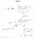 Fig. 36 - Monomethylvaline compounds capable of conjugation to ligands
