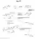 Fig. 37 - Monomethylvaline compounds capable of conjugation to ligands