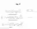 Fig. 39 - Monomethylvaline compounds capable of conjugation to ligands