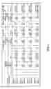 Fig. 05 - Papillomavirus vaccine compositions