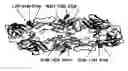 Fig. 01 - Localization and characterization of flavivirus envelope glycoprotein cross-reactive epitopes and methods for their use