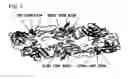Fig. 02 - Localization and characterization of flavivirus envelope glycoprotein cross-reactive epitopes and methods for their use