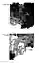 Fig. 03 - Localization and characterization of flavivirus envelope glycoprotein cross-reactive epitopes and methods for their use