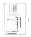 Fig. 05 - Modified free-living microbes, vaccine compositions and methods of use thereof