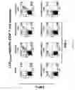 Fig. 07 - Modified free-living microbes, vaccine compositions and methods of use thereof