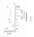 Fig. 21 - Modified free-living microbes, vaccine compositions and methods of use thereof