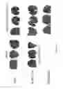 Fig. 32 - Modified free-living microbes, vaccine compositions and methods of use thereof