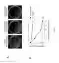 Fig. 43 - Modified free-living microbes, vaccine compositions and methods of use thereof
