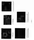 Fig. 45 - Modified free-living microbes, vaccine compositions and methods of use thereof