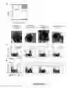 Fig. 60 - Modified free-living microbes, vaccine compositions and methods of use thereof