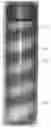 Fig. 01 - Opaque multi-phase dentifrice with coils