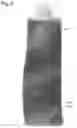 Fig. 12 - Opaque multi-phase dentifrice with coils
