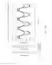Fig. 30 - SYSTEMS AND METHODS OF PROMOTING ENDOTHELIALIZATION OF A HYBRID HEMODIALYSIS ACCESS GRAFT OR A HYBRID FEMORAL ARTERY BYPASS GRAFT IN A MAMMAL