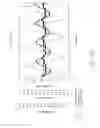Fig. 33 - SYSTEMS AND METHODS OF PROMOTING ENDOTHELIALIZATION OF A HYBRID HEMODIALYSIS ACCESS GRAFT OR A HYBRID FEMORAL ARTERY BYPASS GRAFT IN A MAMMAL