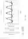 Fig. 34 - SYSTEMS AND METHODS OF PROMOTING ENDOTHELIALIZATION OF A HYBRID HEMODIALYSIS ACCESS GRAFT OR A HYBRID FEMORAL ARTERY BYPASS GRAFT IN A MAMMAL