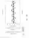 Fig. 37 - SYSTEMS AND METHODS OF PROMOTING ENDOTHELIALIZATION OF A HYBRID HEMODIALYSIS ACCESS GRAFT OR A HYBRID FEMORAL ARTERY BYPASS GRAFT IN A MAMMAL