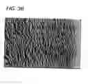 Fig. 06 - Decelluarlized Tissue Engineered Constructs and Tissues
