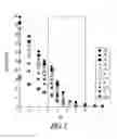 Fig. 03 - POLYMERIC MICELLES FOR COMBINATION DRUG DELIVERY