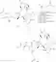 Fig. 26 - POLYMERIC MICELLES FOR COMBINATION DRUG DELIVERY