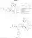 Fig. 27 - POLYMERIC MICELLES FOR COMBINATION DRUG DELIVERY