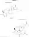 Fig. 28 - POLYMERIC MICELLES FOR COMBINATION DRUG DELIVERY