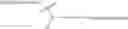 Fig. 32 - POLYMERIC MICELLES FOR COMBINATION DRUG DELIVERY