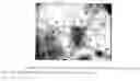 Fig. 01 - Polysaccharide microparticles containing biological agents: their preparation and applications