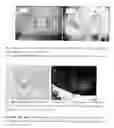 Fig. 12 - Polysaccharide microparticles containing biological agents: their preparation and applications